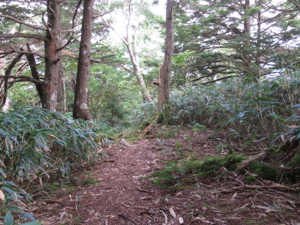 登山道